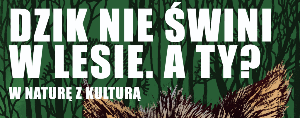 SPRZĄTANIE ŚWIATA – W naturę z kulturą